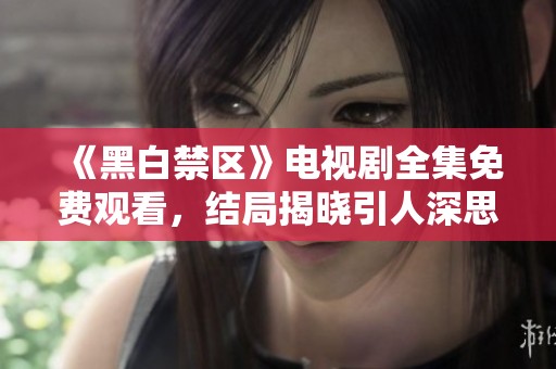《黑白禁区》电视剧全集免费观看，结局揭晓引人深思
