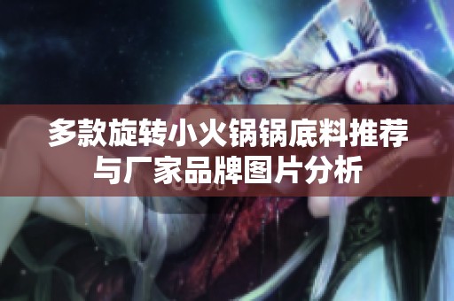 多款旋转小火锅锅底料推荐与厂家品牌图片分析