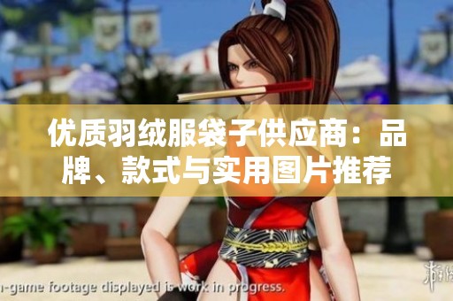优质羽绒服袋子供应商：品牌、款式与实用图片推荐