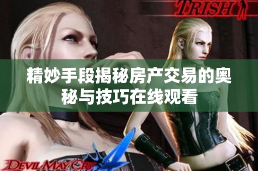 精妙手段揭秘房产交易的奥秘与技巧在线观看