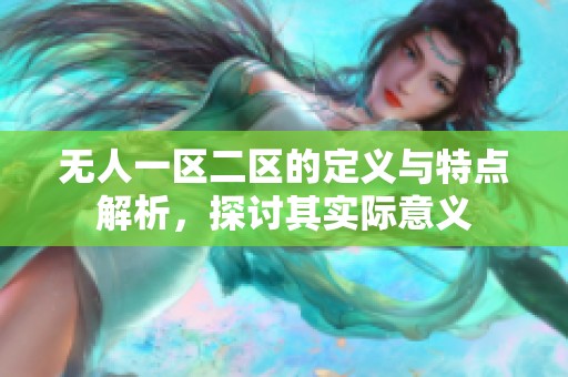 无人一区二区的定义与特点解析，探讨其实际意义