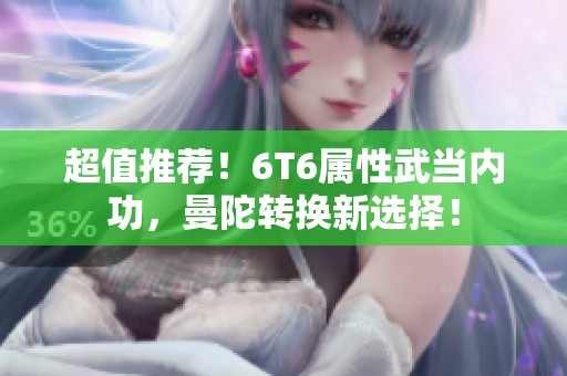 超值推荐！6T6属性武当内功，曼陀转换新选择！