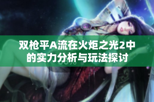 双枪平A流在火炬之光2中的实力分析与玩法探讨