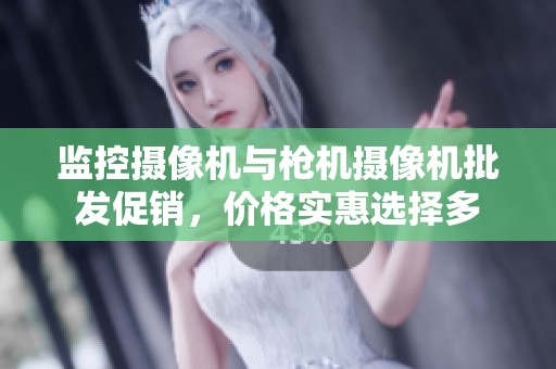 监控摄像机与枪机摄像机批发促销，价格实惠选择多