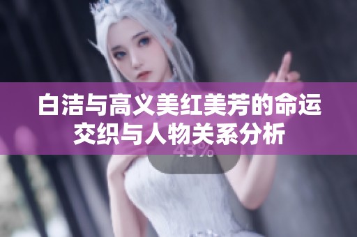 白洁与高义美红美芳的命运交织与人物关系分析