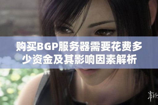购买BGP服务器需要花费多少资金及其影响因素解析
