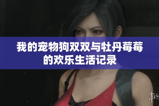 我的宠物狗双双与牡丹莓莓的欢乐生活记录
