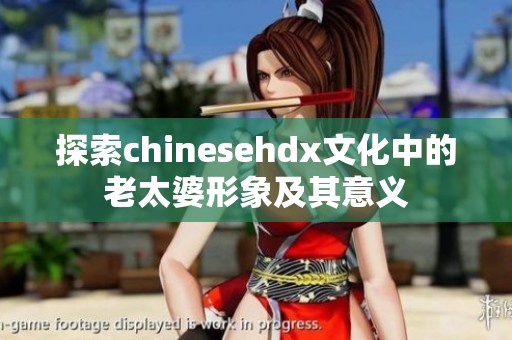 探索chinesehdx文化中的老太婆形象及其意义