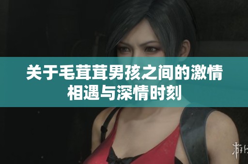 关于毛茸茸男孩之间的激情相遇与深情时刻