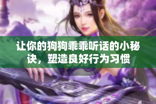 让你的狗狗乖乖听话的小秘诀，塑造良好行为习惯