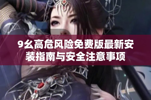 9幺高危风险免费版最新安装指南与安全注意事项