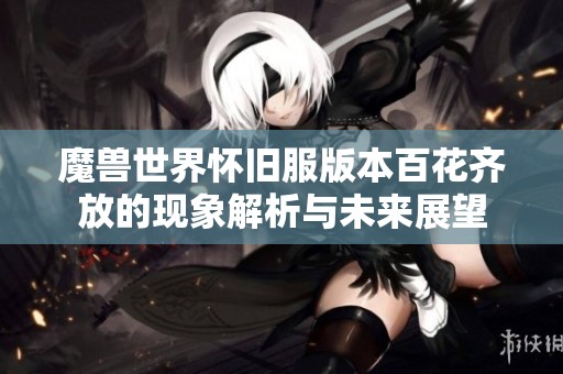 魔兽世界怀旧服版本百花齐放的现象解析与未来展望