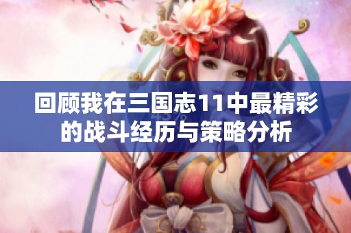 回顾我在三国志11中最精彩的战斗经历与策略分析