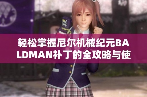 轻松掌握尼尔机械纪元BALDMAN补丁的全攻略与使用指南