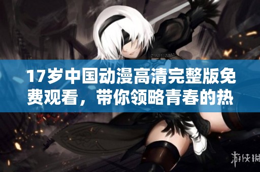 17岁中国动漫高清完整版免费观看，带你领略青春的热血与梦想