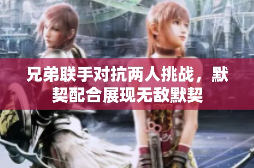 兄弟联手对抗两人挑战，默契配合展现无敌默契