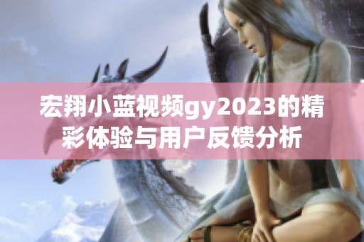 宏翔小蓝视频gy2023的精彩体验与用户反馈分析
