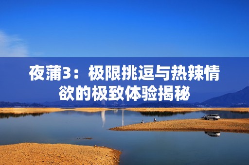 夜蒲3：极限挑逗与热辣情欲的极致体验揭秘