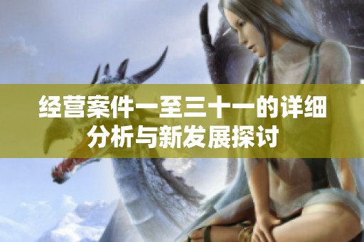 经营案件一至三十一的详细分析与新发展探讨