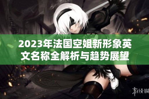 2023年法国空姐新形象英文名称全解析与趋势展望