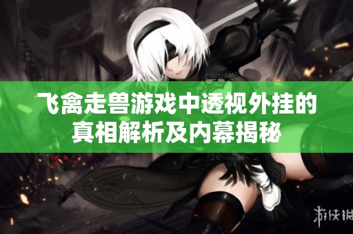 飞禽走兽游戏中透视外挂的真相解析及内幕揭秘