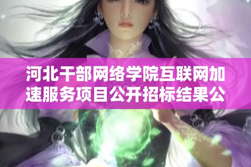 河北干部网络学院互联网加速服务项目公开招标结果公布