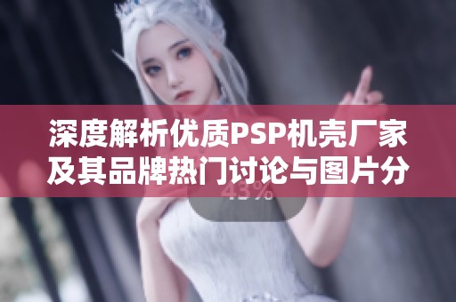 深度解析优质PSP机壳厂家及其品牌热门讨论与图片分享