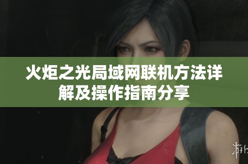 火炬之光局域网联机方法详解及操作指南分享