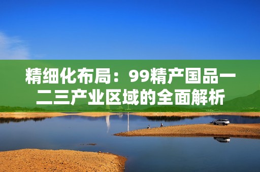 精细化布局：99精产国品一二三产业区域的全面解析