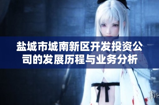 盐城市城南新区开发投资公司的发展历程与业务分析