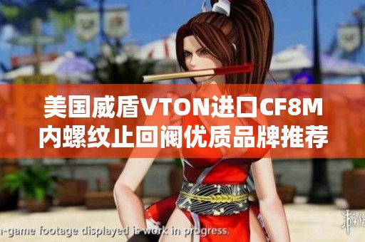 美国威盾VTON进口CF8M内螺纹止回阀优质品牌推荐