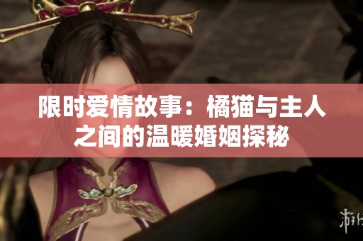 限时爱情故事：橘猫与主人之间的温暖婚姻探秘