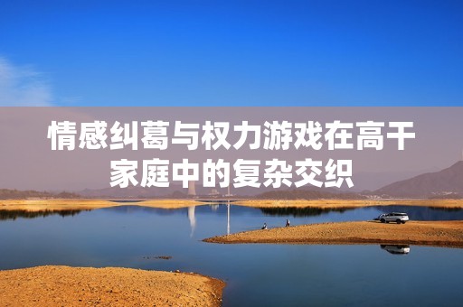 情感纠葛与权力游戏在高干家庭中的复杂交织