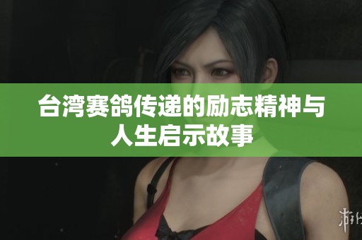 台湾赛鸽传递的励志精神与人生启示故事