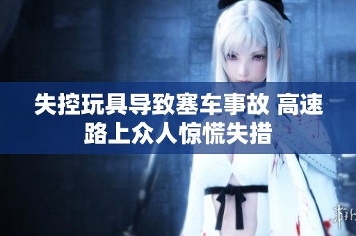 失控玩具导致塞车事故 高速路上众人惊慌失措