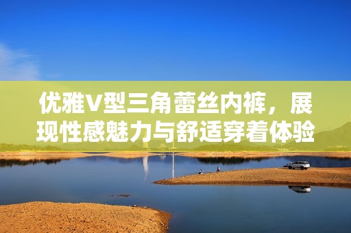 优雅V型三角蕾丝内裤，展现性感魅力与舒适穿着体验