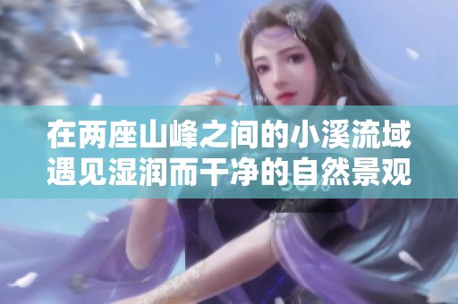 在两座山峰之间的小溪流域遇见湿润而干净的自然景观