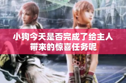 小狗今天是否完成了给主人带来的惊喜任务呢