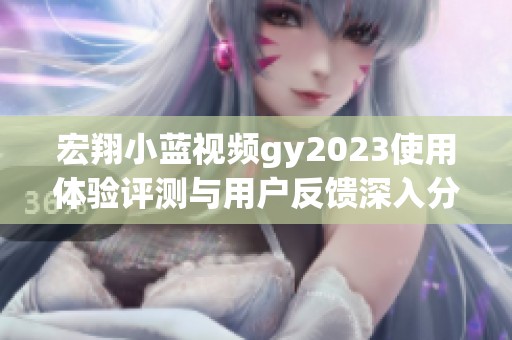 宏翔小蓝视频gy2023使用体验评测与用户反馈深入分析