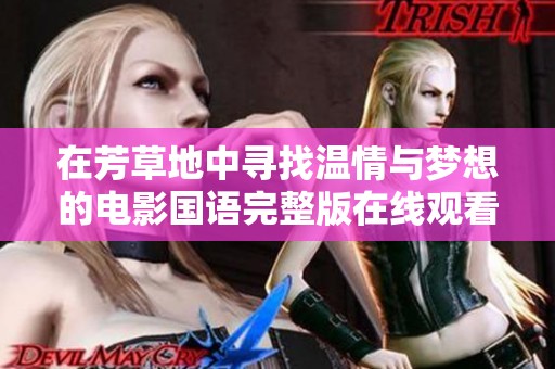 在芳草地中寻找温情与梦想的电影国语完整版在线观看