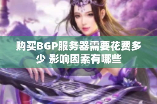 购买BGP服务器需要花费多少 影响因素有哪些