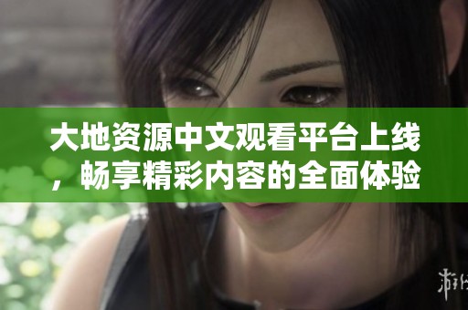 大地资源中文观看平台上线，畅享精彩内容的全面体验