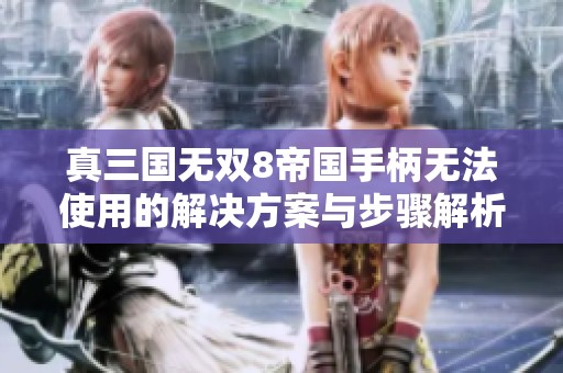 真三国无双8帝国手柄无法使用的解决方案与步骤解析