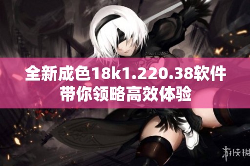 全新成色18k1.220.38软件带你领略高效体验