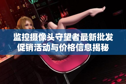 监控摄像头守望者最新批发促销活动与价格信息揭秘