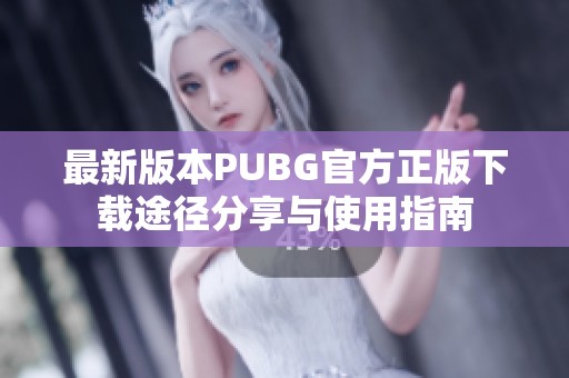 最新版本PUBG官方正版下载途径分享与使用指南