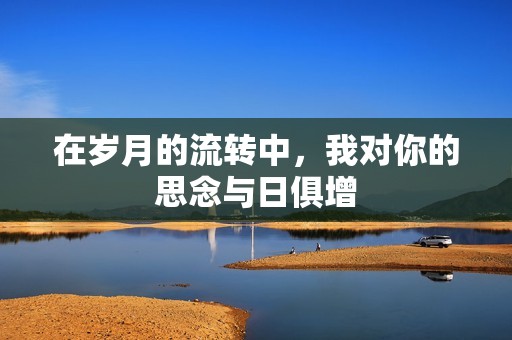 在岁月的流转中，我对你的思念与日俱增
